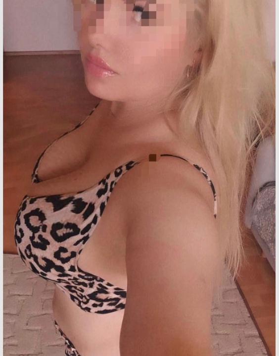 בצפון והסביבה פאינה